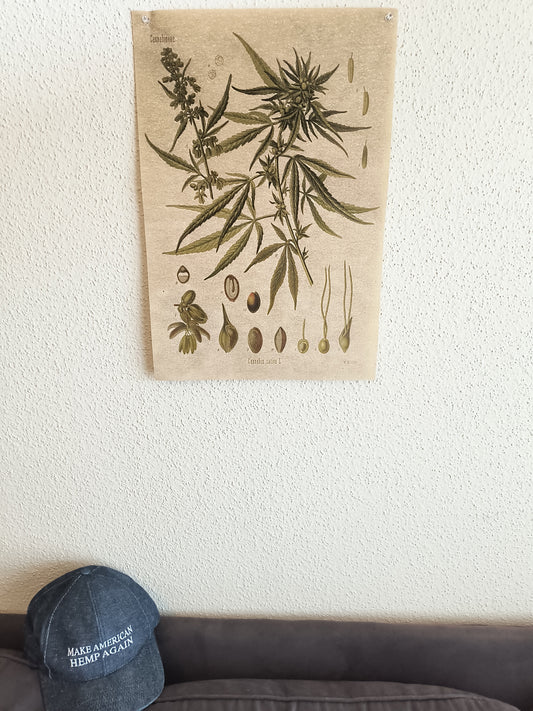 100% US-Made Hemp Paper Historical Art Prints